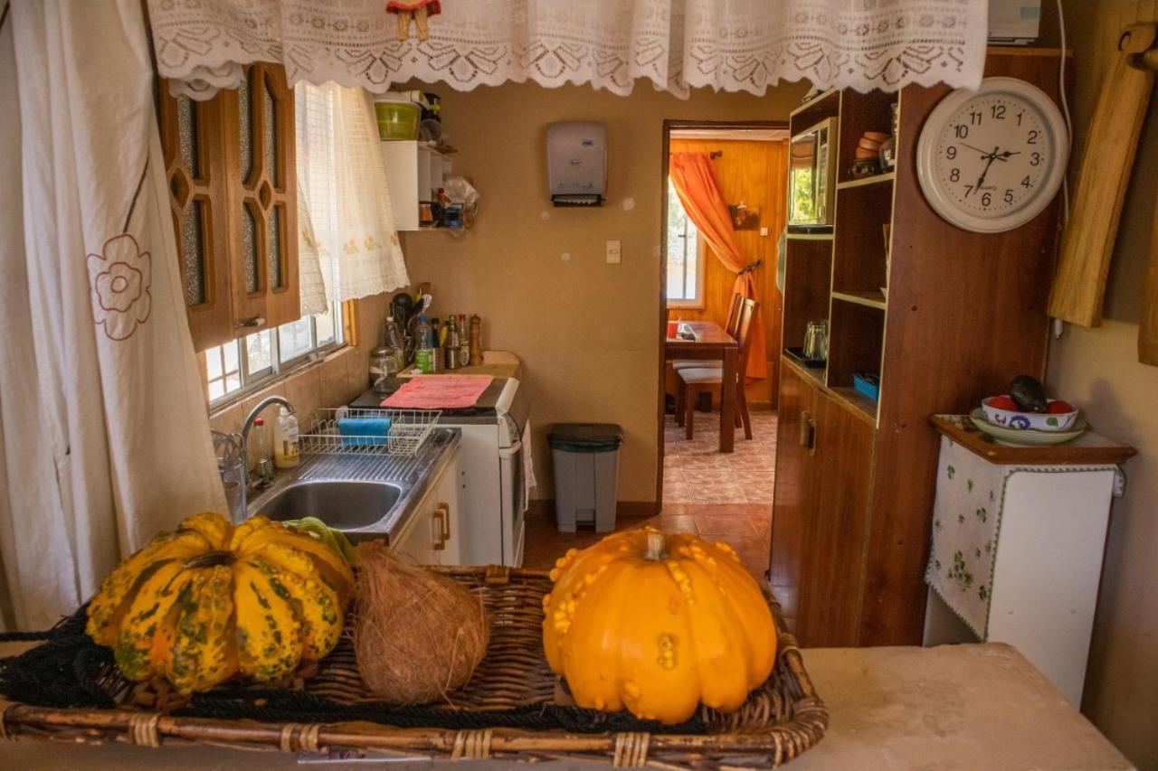 La Huerta Apartment Vicuna Bagian luar foto